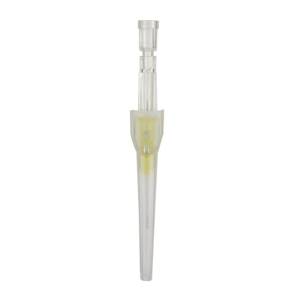 B. Braun 4252500-02 IV Catheter 24G x 3/4"  200/cs